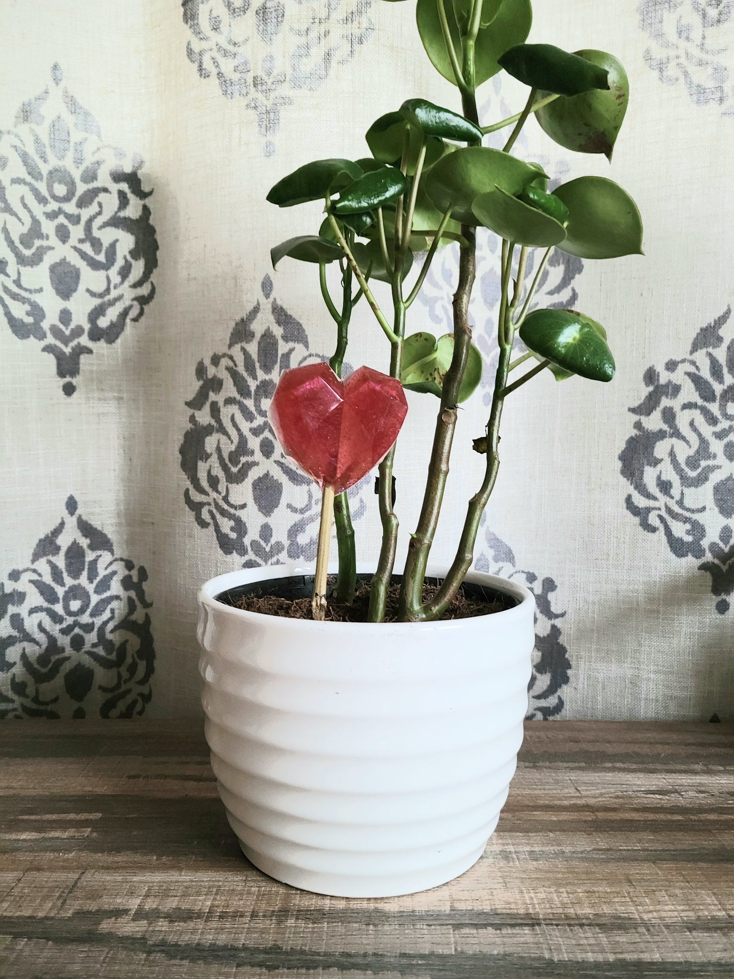 Plant decor stake (Hearts)