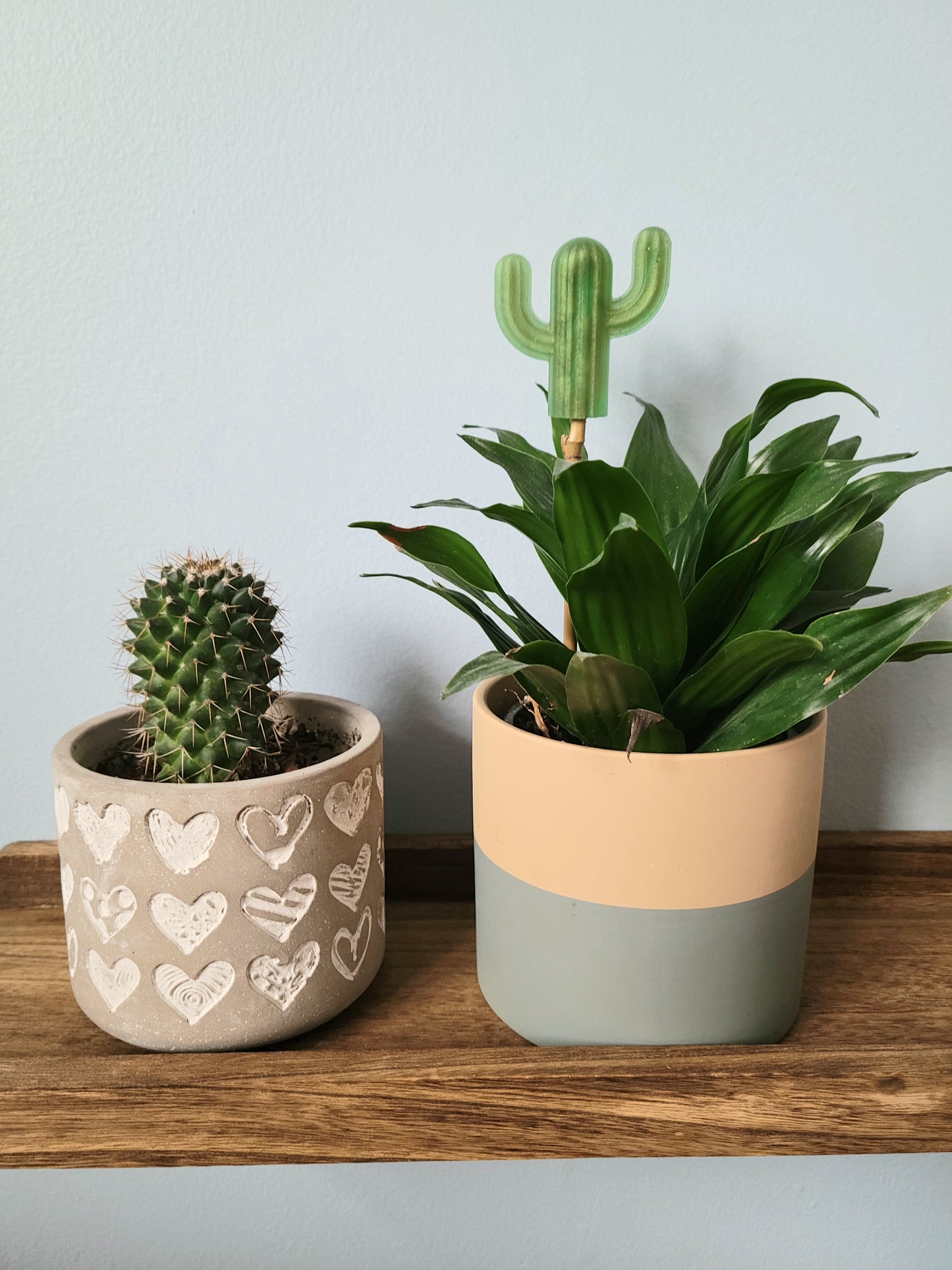 Plant decor stake (Cactus)
